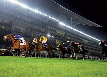 Meydan