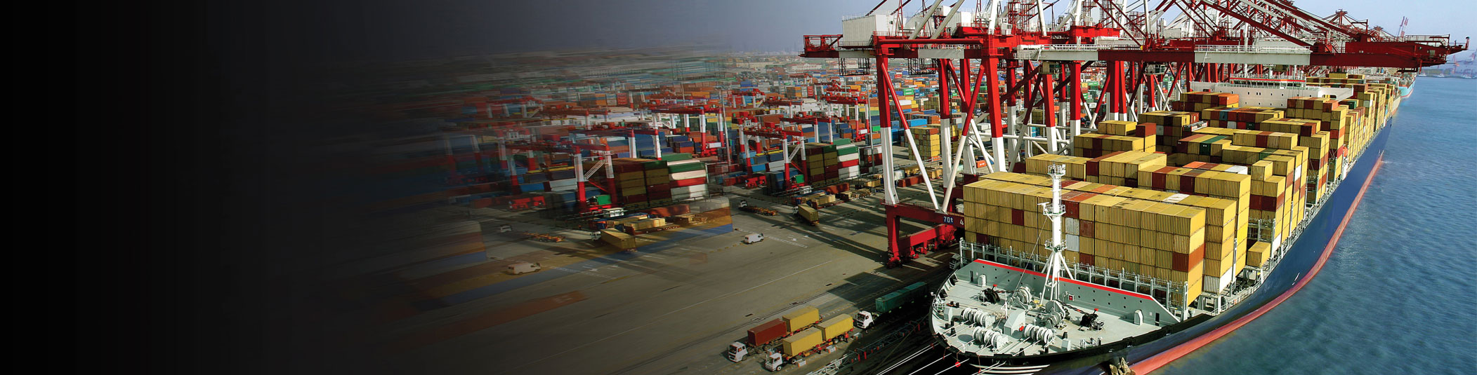 lorem ipsum dolor sit